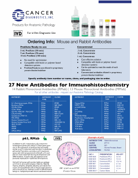 Download 27 New Antibodies for Immunohistochemistry Flyer