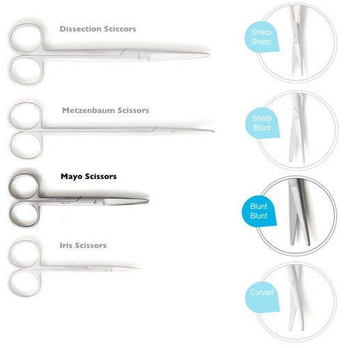 Mayo Scissors, (Blunt-Blunt), 6.75