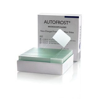 AutoFrost® Non-Charged Slides, 90° Frosted - CS/1440 | Cancer Diagnostics