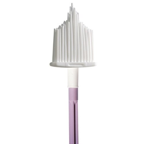 Wallach Papette, Cervical Brush