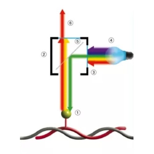 ZytoLight Single Color Probes