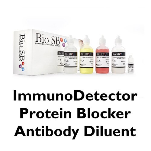 ImmunoDetector Protein Blocker Antibody Diluent