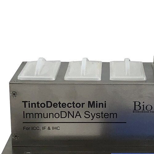 BioSB Plastic Staining Dish