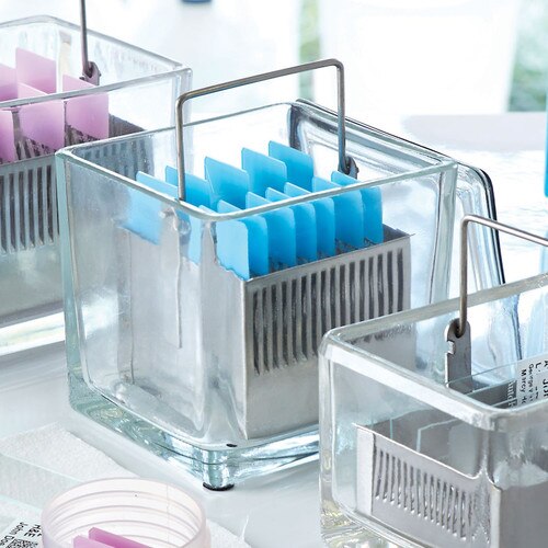 glass Slide Stain Dish, 30 Slide, With Slides
