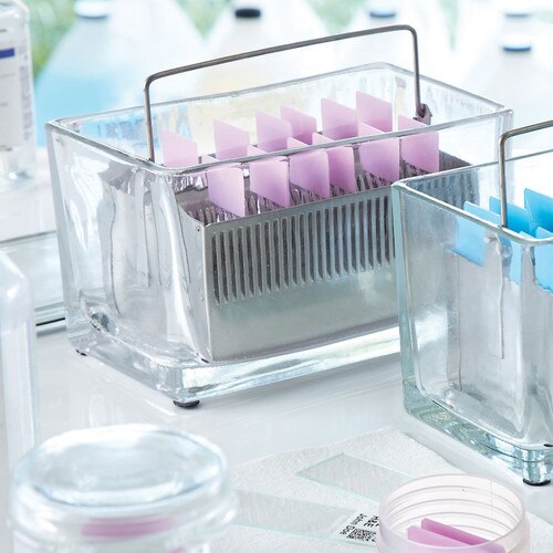 Slide Stain Dish, 60 Slide, Glass