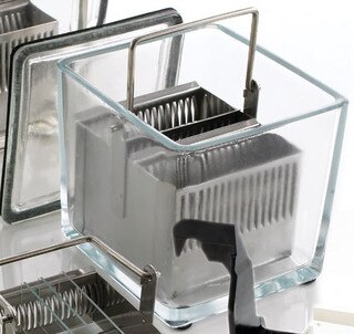 Slide Stain Rack, 30-Slide, Stainl