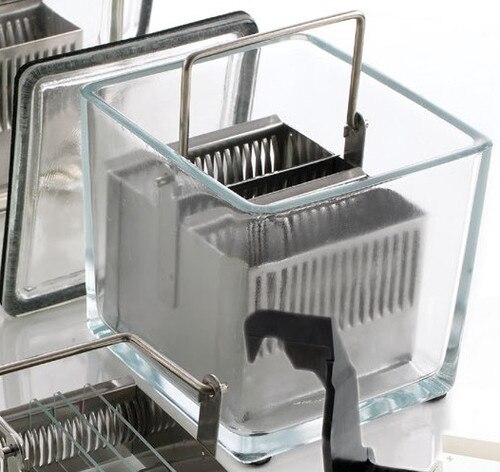 Slide Stain Rack, 30-Slide, Stainl