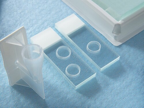 Slides, Cytospin, One(1) Circle