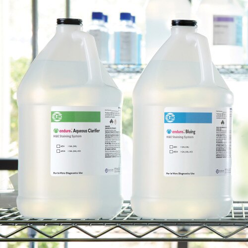 Endure Aqueous Clarifier & Bluing Gallon