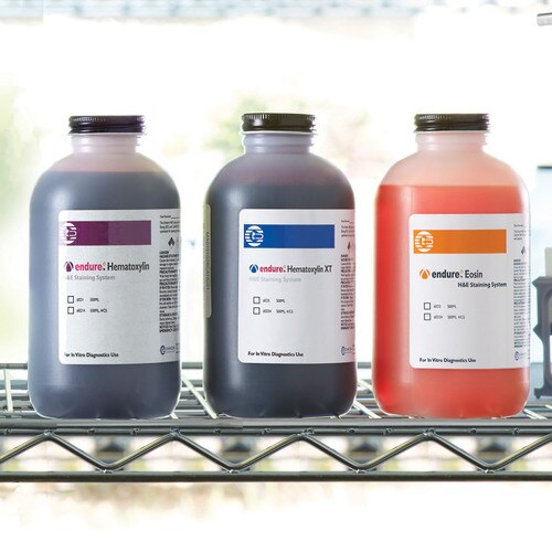 Endure Hematoxylin, XT Hematoxylin, and Eosin