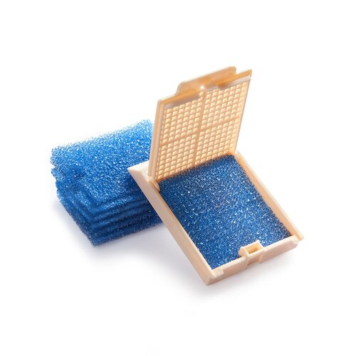 Blue Foam Biopsy Pads with Notch in Cassette