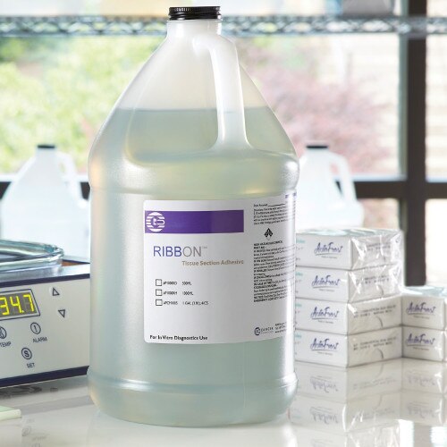 Ribbon Tissue Section Adhesive Next to Waterbath